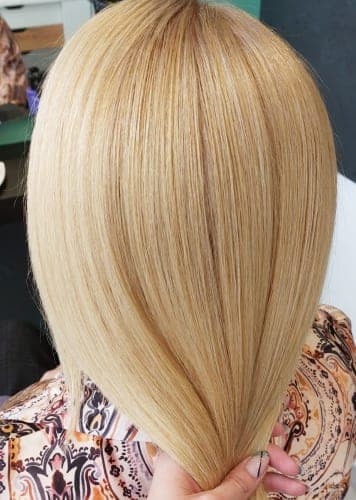 Hladni plavi bob - Petit Salon Zagreb